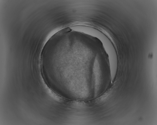 X0000091961050200710041024