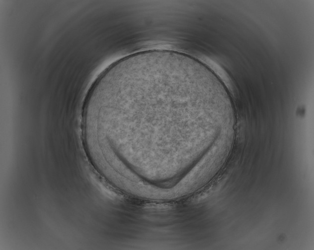 X0000091961051200710041024