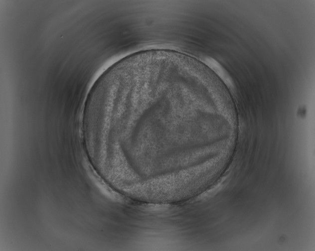 X0000091961052200710041024
