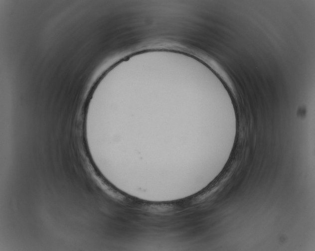 X0000091961053200710041024