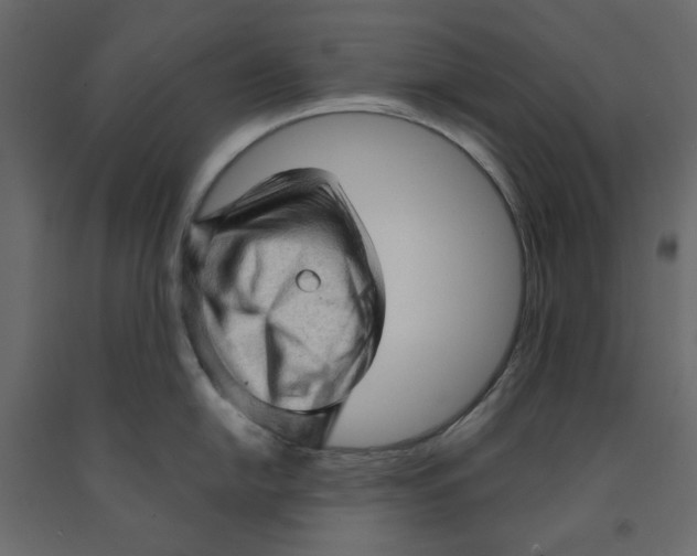 X0000091961054200710041024
