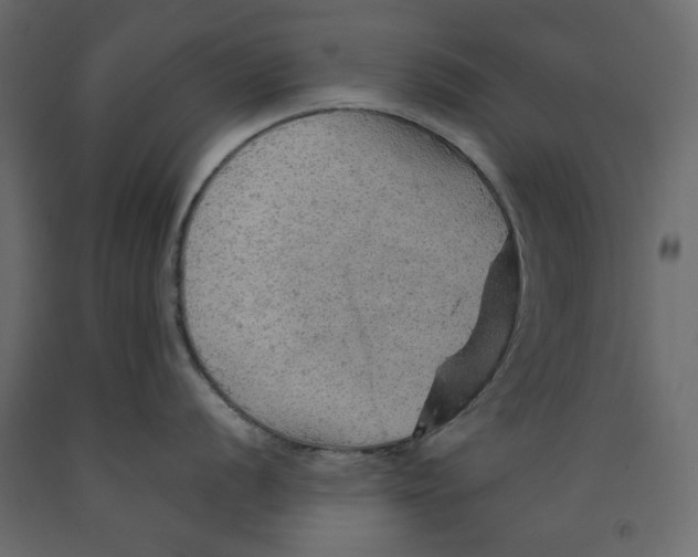 X0000091961056200710041024