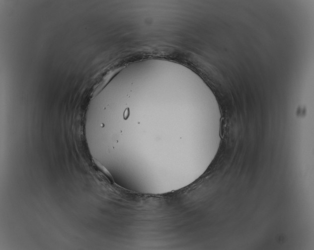 X0000091961058200710041024