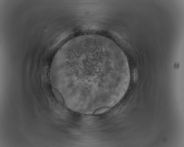 X0000091961059200710041024