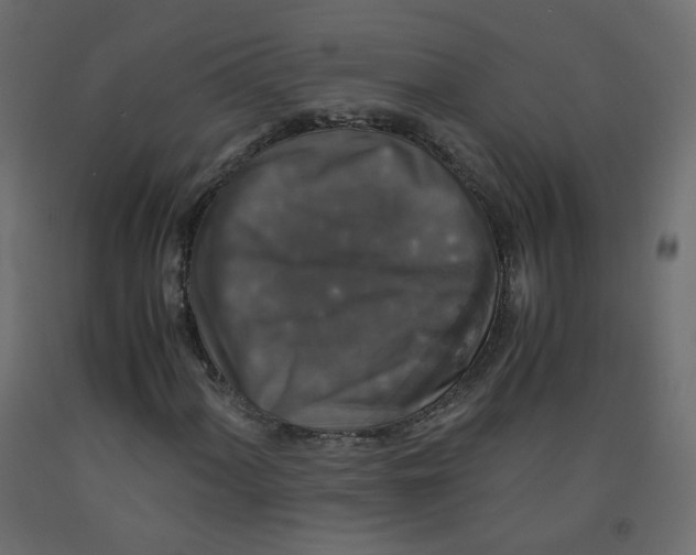 X0000091961060200710041024