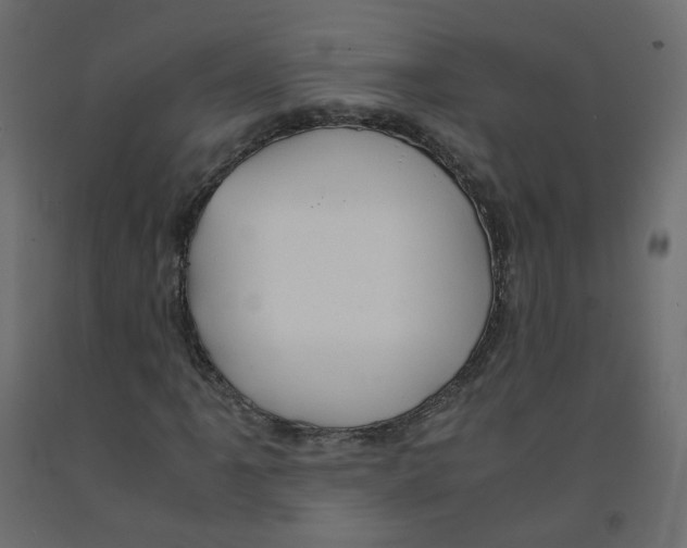 X0000091961061200710041024
