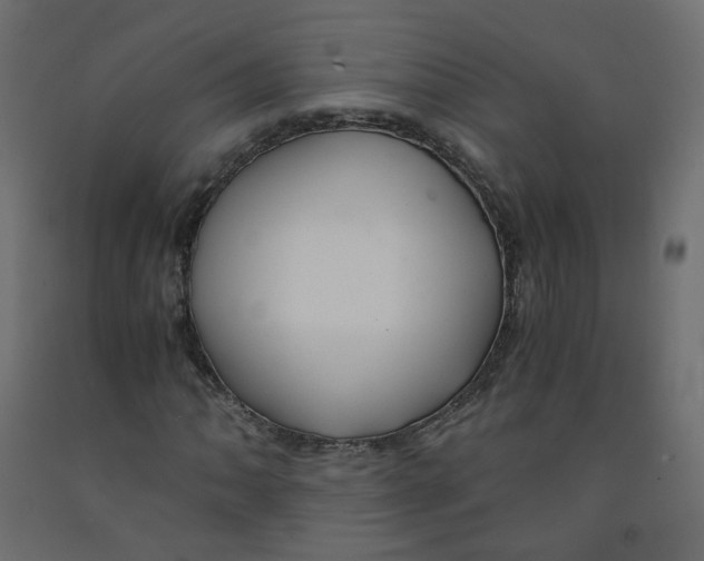 X0000091961062200710041024