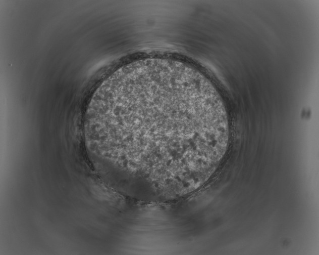 X0000091961063200710041024