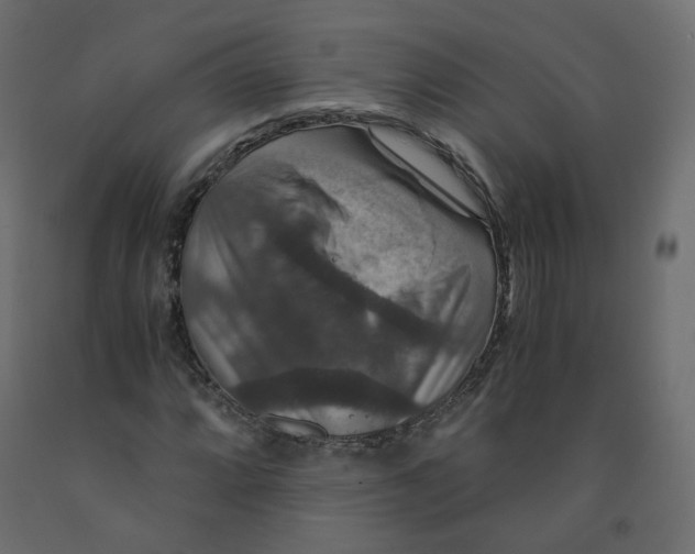 X0000091961064200710041024