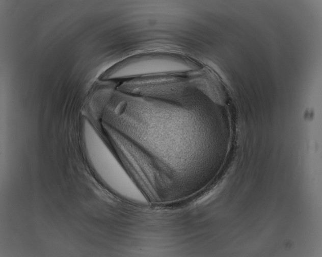 X0000091961065200710041024