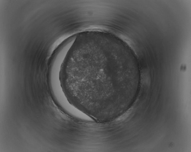 X0000091961066200710041024