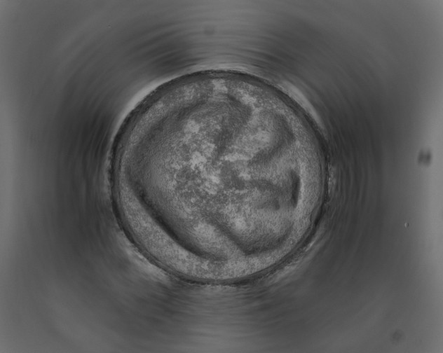 X0000091961068200710041024