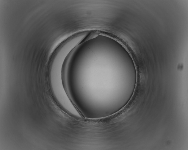 X0000091961069200710041024