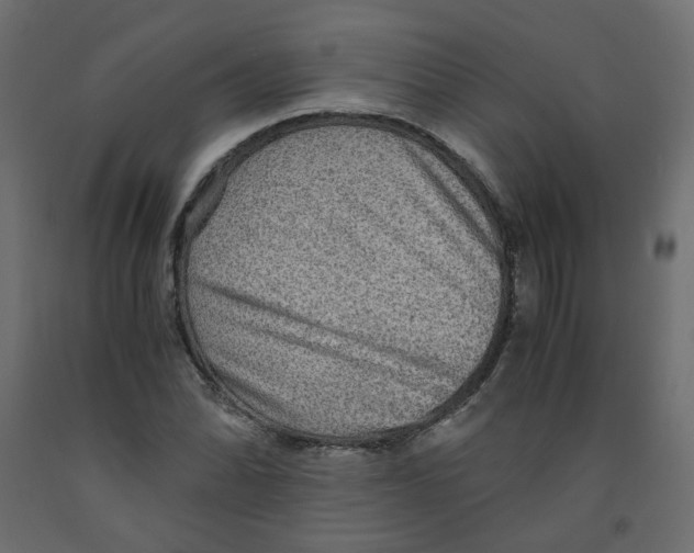 X0000091961070200710041023