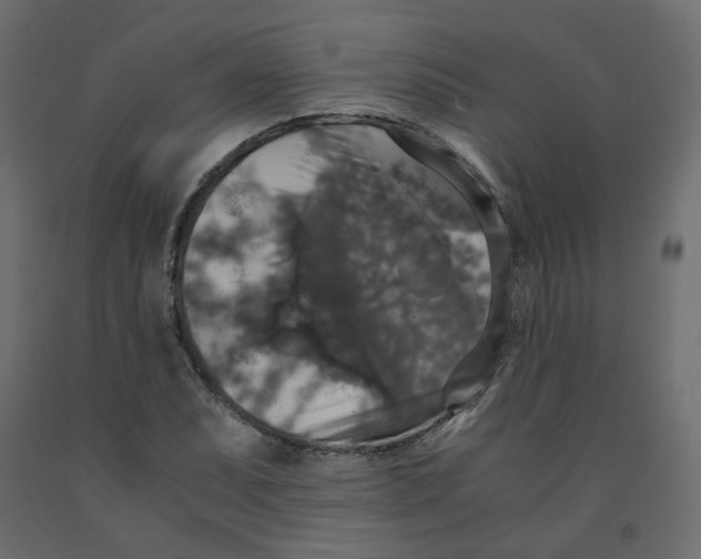 X0000091961071200710041023