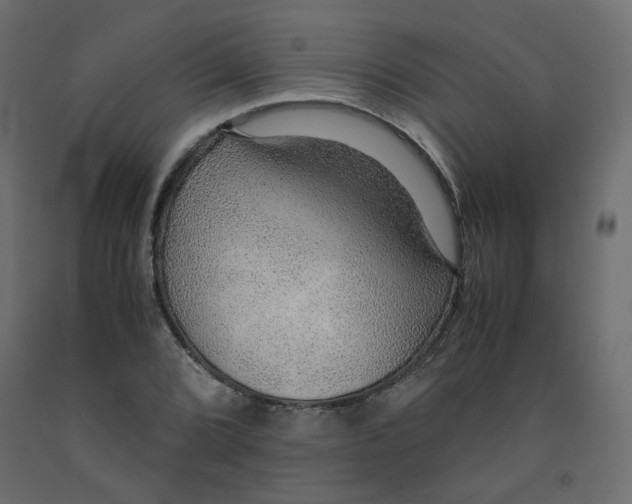 X0000091961072200710041023