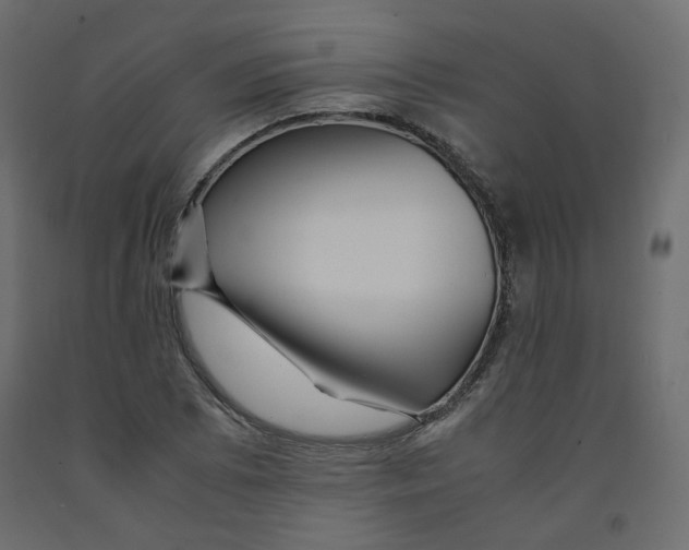 X0000091961073200710041023