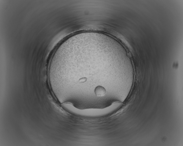 X0000091961075200710041023