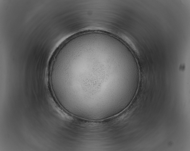 X0000091961076200710041023