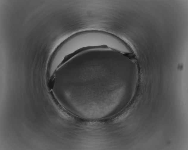 X0000091961077200710041023