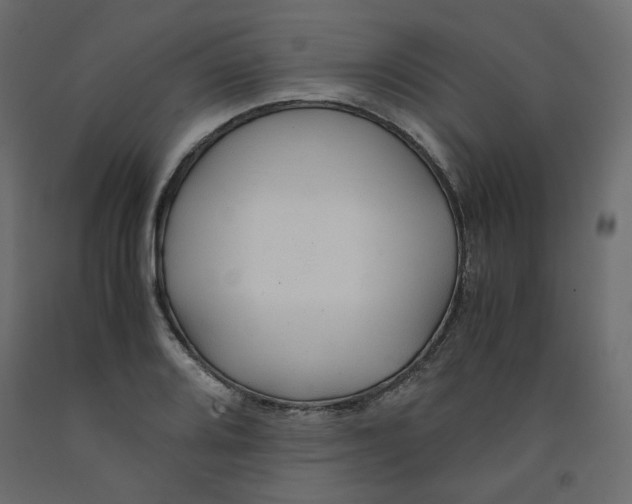 X0000091961080200710041023