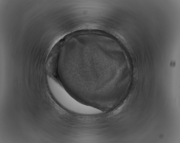 X0000091961081200710041023