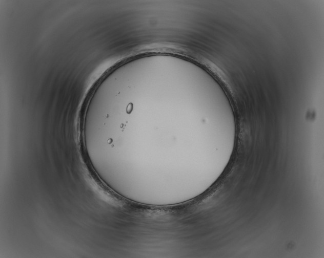 X0000091961082200710041023