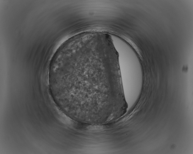 X0000091961083200710041023