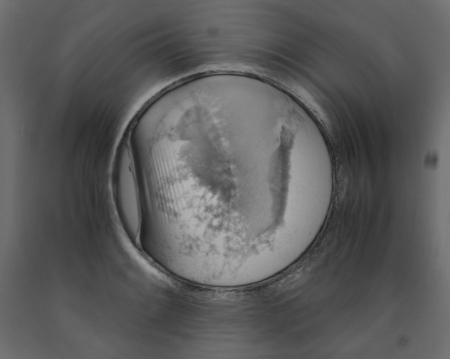 X0000091961084200710041023