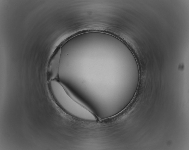 X0000091961085200710041023