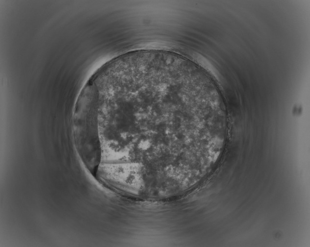 X0000091961087200710041023