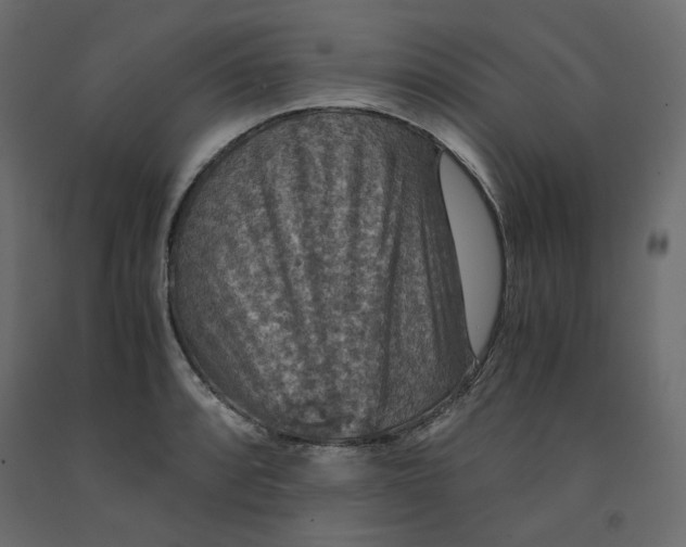 X0000091961088200710041023