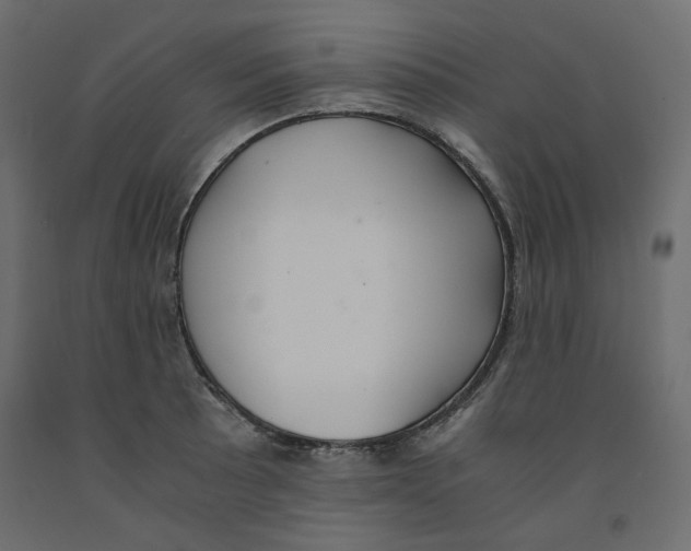 X0000091961089200710041023