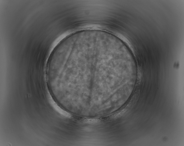 X0000091961090200710041023