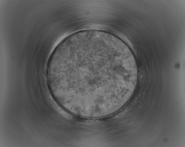 X0000091961091200710041023