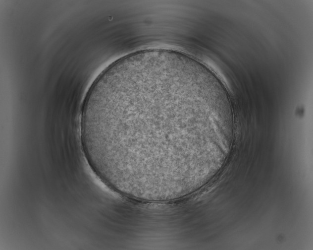 X0000091961092200710041023