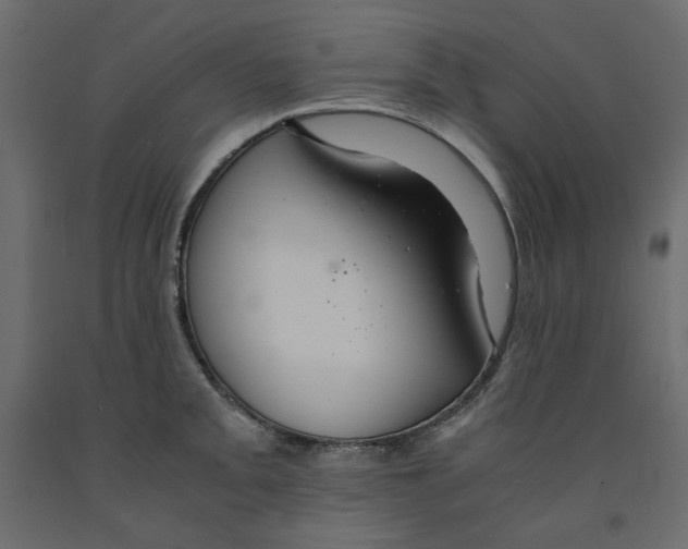 X0000091961093200710041023