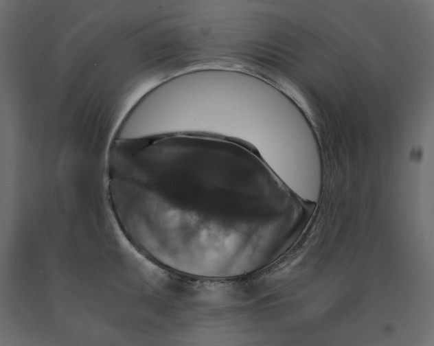 X0000091961095200710041023