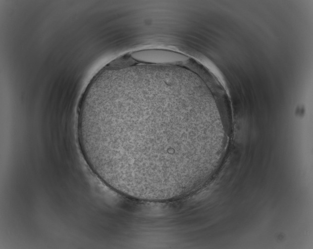 X0000091961096200710041023