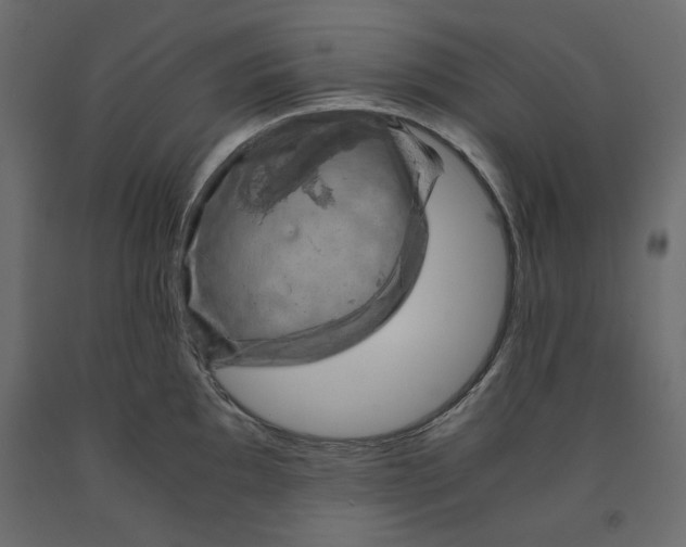 X0000091961097200710041023