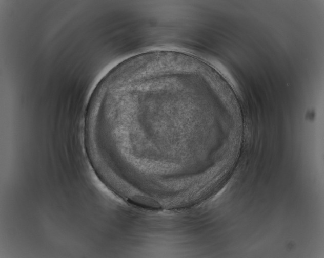 X0000091961100200710041023