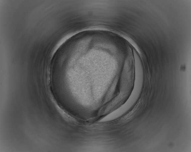 X0000091961101200710041023
