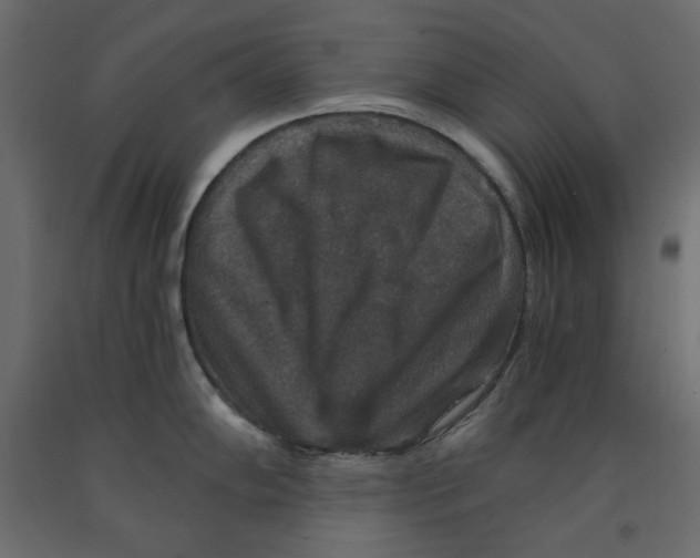 X0000091961102200710041023
