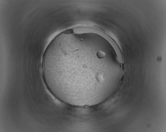 X0000091961103200710041023
