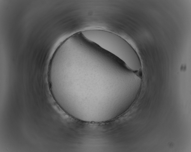 X0000091961104200710041023