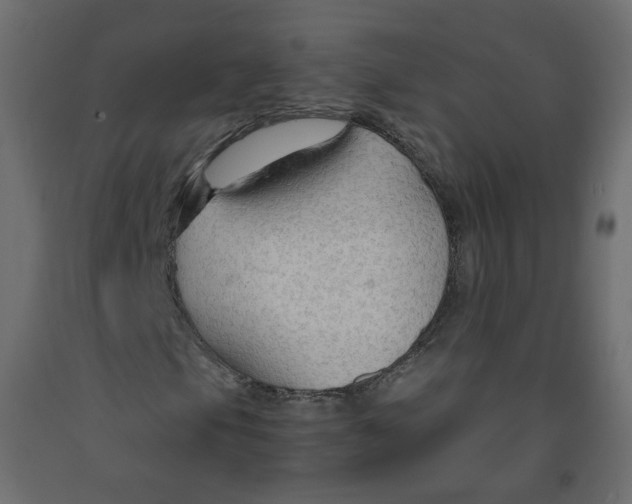 X0000091961105200710041022