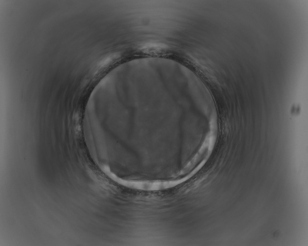 X0000091961106200710041022