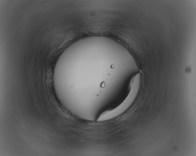 X0000091961107200710041022