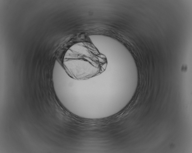 X0000091961108200710041023