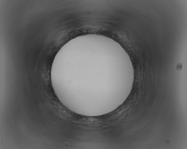 X0000091961109200710041023